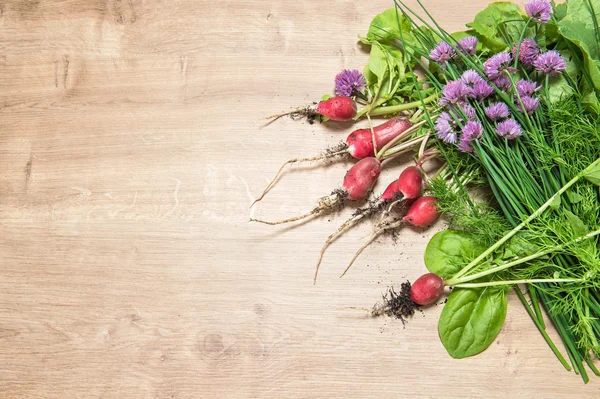 Fresh radish with green garden herbs. Healthy food ingredients — Stockfoto