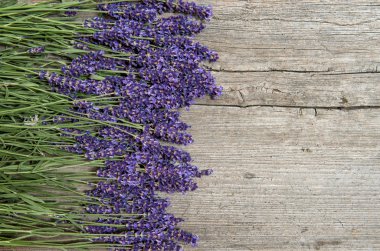 Lavender flowers on wooden background. Fresh blossoms