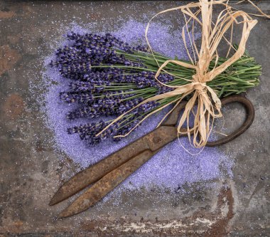 Lavanta çiçekleri rustik metal arka plan üzerinde. Shabby chic