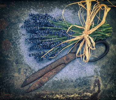 Lavender flowers over rustic metal background. Vintage style