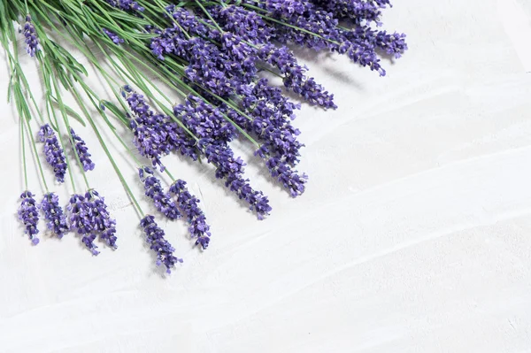 Lavender flowers over white wooden background — Stockfoto