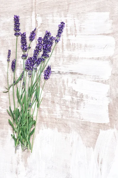 Lavender flowers over rustic wooden background. Country style de — 스톡 사진