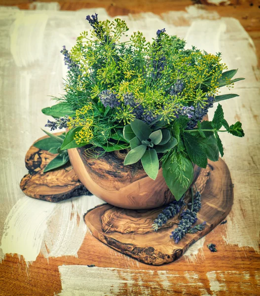 Dill, thyme, sDill, sage, lavender, mint, basil. Healthy food. H — Stock fotografie