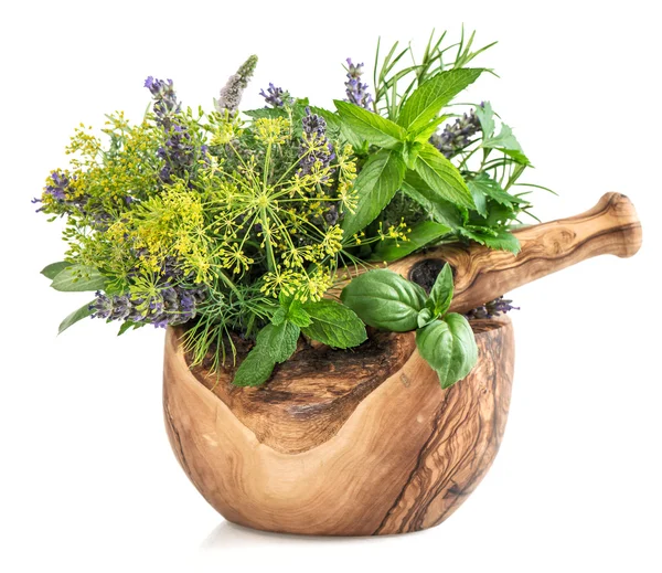 Fresh herbs and spices mint, basil, dill, rosemary, sage, lavend — Stock Photo, Image