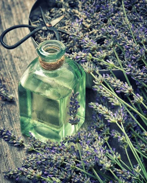Dreied lavender flowers with herbal oil and scissors. Vintage st — Φωτογραφία Αρχείου