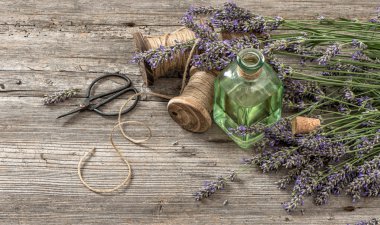 Taze çiçekler ve ahşap adam için makaslar ile lavanta yağı