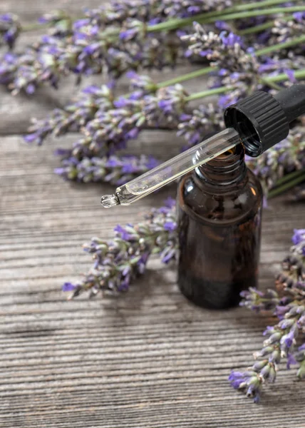 Parfümierte Kräuteröl-Essenz und dreied Lavendelblüten — Stockfoto