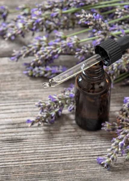 Essence d'huile végétale parfumée et fleurs de lavande séchées — Photo