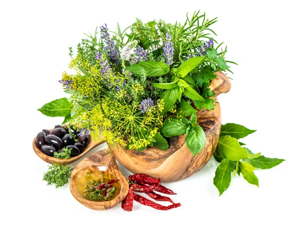 Świeże zioła i przyprawy koper, bazylia, szałwia, lawenda, wawrzyn, oliv — Zdjęcie stockowe