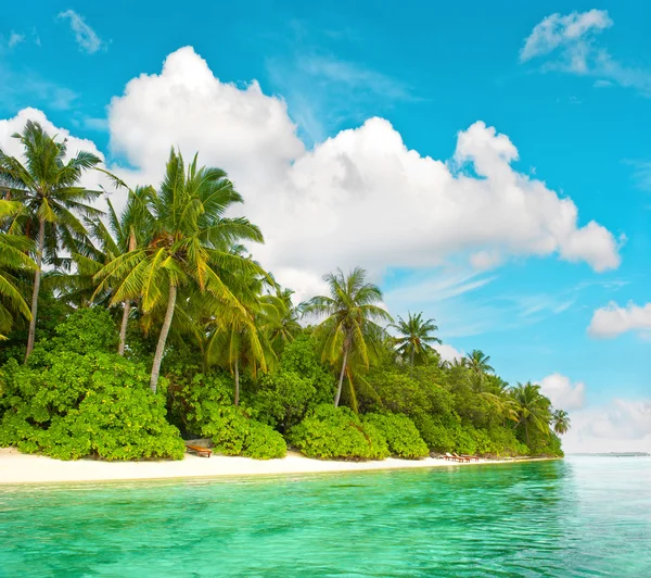 Tropical island beach with palm trees blue sky Stock Photo