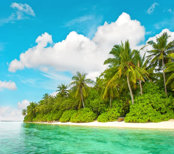 Tropical island beach with palm trees blue sky Royalty Free Stock Photos