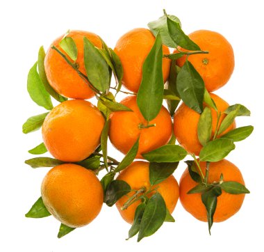 Orange mandarine with green leaves. Top view of tangerine