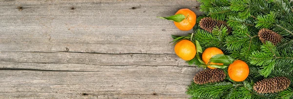 Tangerines and christmas tree branches. Mandarine fruits — Stockfoto