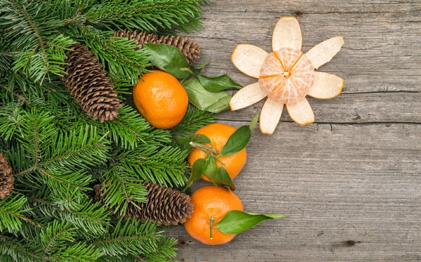 Tangerine  fruits and christmas tree branches. Mandarine — 图库照片