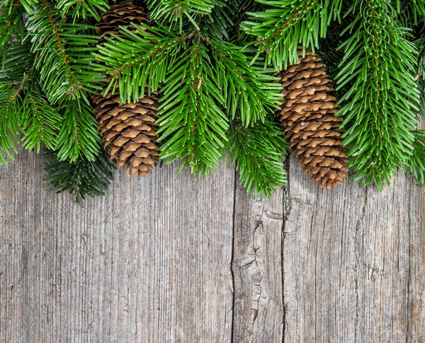 Christmas tree branches with pine cones — Stock Photo, Image