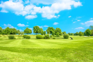 Golf Sahası. Taze ot ve mavi gökyüzü ile yeşil alan
