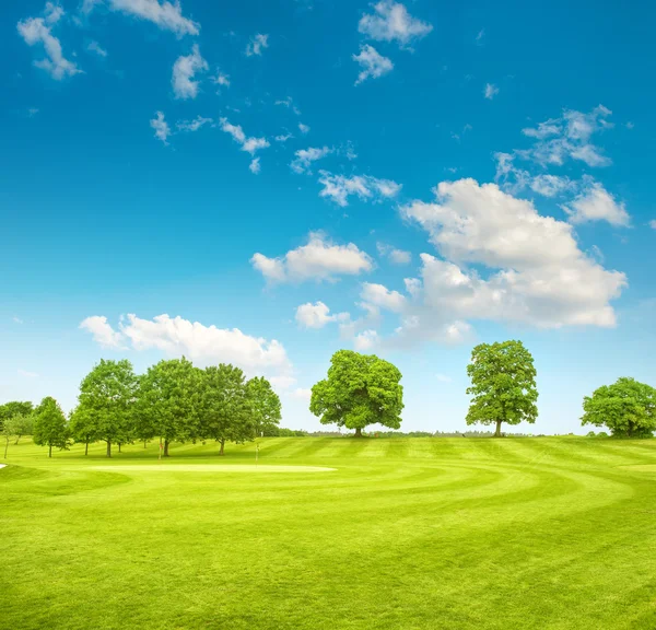 Golfové hřiště. Jarní pole s trávou a modrá obloha — Stock fotografie