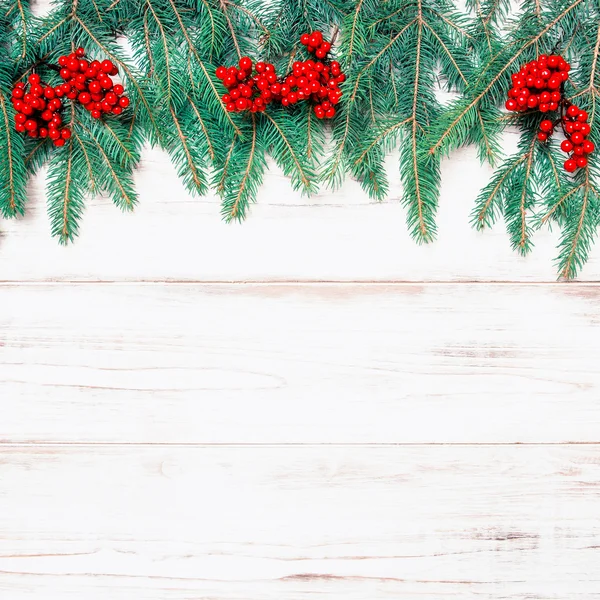 Rami di albero di Natale — Foto Stock
