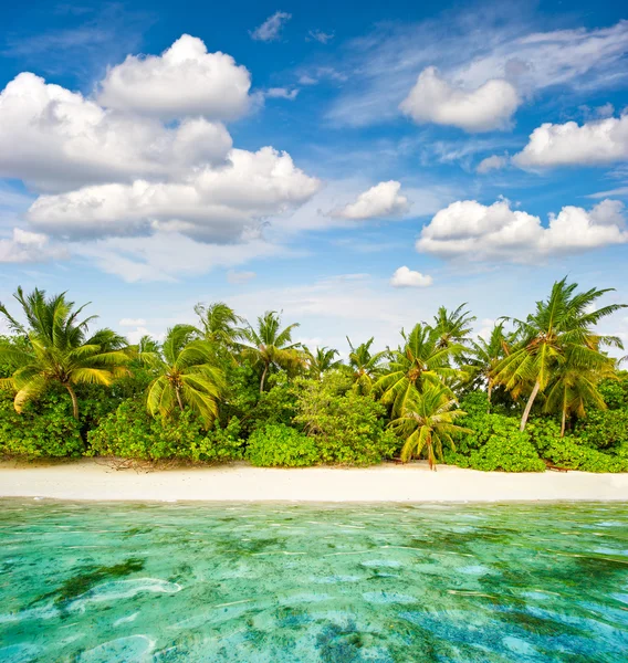 Sand beach with palm trees and cloudy blue sky. Tropical island — Zdjęcie stockowe