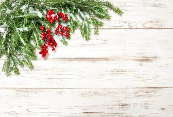 Noel ağacı dalları — Stok fotoğraf
