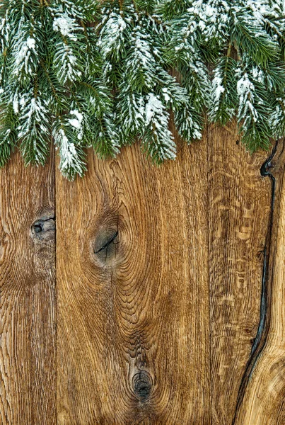Різдвяна ялинка гілок — стокове фото