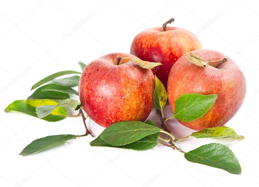 Organic apples with green leaves