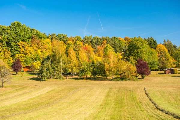 Herbstlandschaft mit Bäumen — Stockfoto
