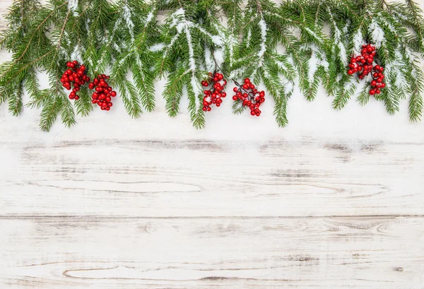 Christmas decoration. Evergreen tree branch with red berries — Stock Photo, Image