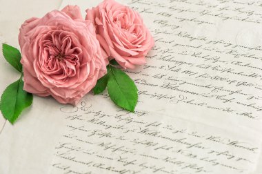 Pink rose flowers over antique handwritten letter. Vintage paper