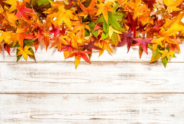Багатобарвне осіннє листя над дерев'яним тлом — стокове фото