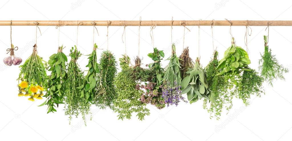 Fresh herbs. Basil, rosemary, thyme, mint, dill, sage, garlic