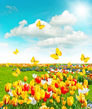 Flowers in green grass. Spring landscape with blue sky clipart