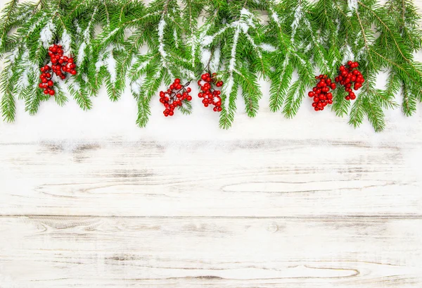 Ramo di albero di Natale con bacche rosse. Decorazione festiva — Foto Stock