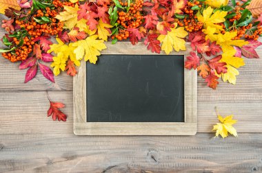 Renkli yaprakları, çilek, kara tahta ile sonbahar arka plan
