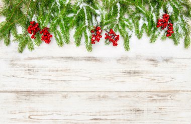 Kırmızı meyveler ile Noel ağacı dalı. Kış dekorasyonu