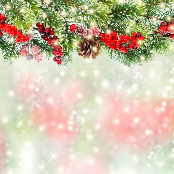 圣诞树枝装饰红色浆果 — 图库照片