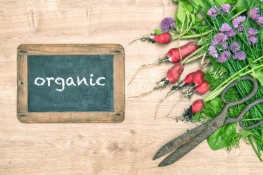Fresh radish with green garden herbs. Vegetables chalkboard