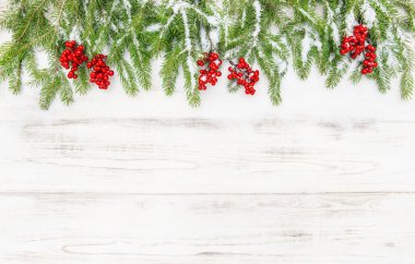 Noel dekorasyonu. İğne yapraklı ağaç dalları kırmızı meyveler