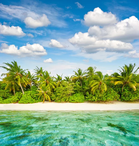 Písečná pláž. Palmy. Zakalená modrá obloha. Tropický ostrov — Stock fotografie