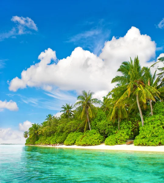 Tropical island beach. Palm trees. Blue water sky Stock Image