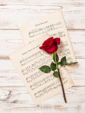 Kırmızı gül çiçek ve müzik notlar sayfası