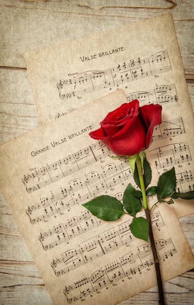 Feuille de notes de rose rouge et de musique vintage — Photo