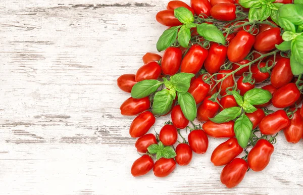 Kirschtomaten und Basilikumblätter. Lebensmittel — Stockfoto