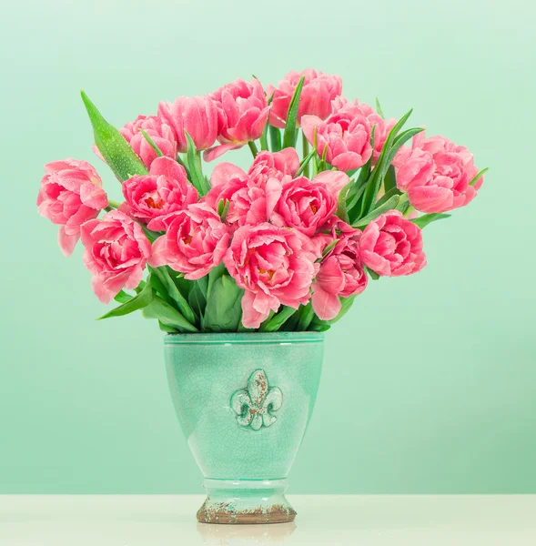 Pink tulip flowers over turquoise background — Stock Photo, Image