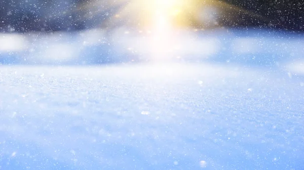 Neve Sfondo Sole Serale Sfondo Natalizio Neve Coperta Parco Sfondo — Foto Stock
