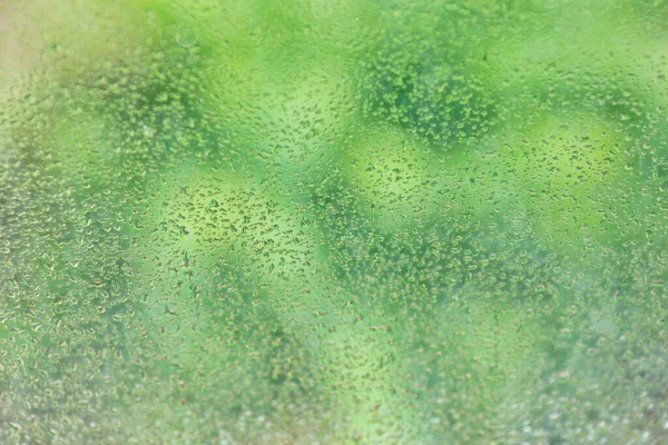Sommar Regn Droppar Fönster Glas Färsk Grön Bakgrund Konsistens — Stockfoto