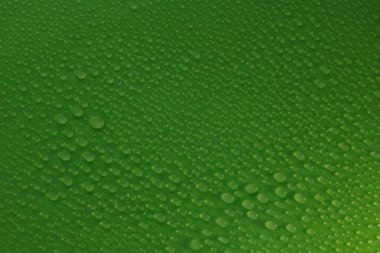 Tasarım için yeşil arkaplan dokusu üzerine su damlaları