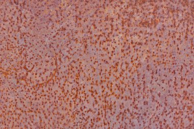 Paslı metal doku arkaplanı