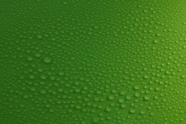 Water Drops Green Background Texture Ecology Design — Stock Photo, Image