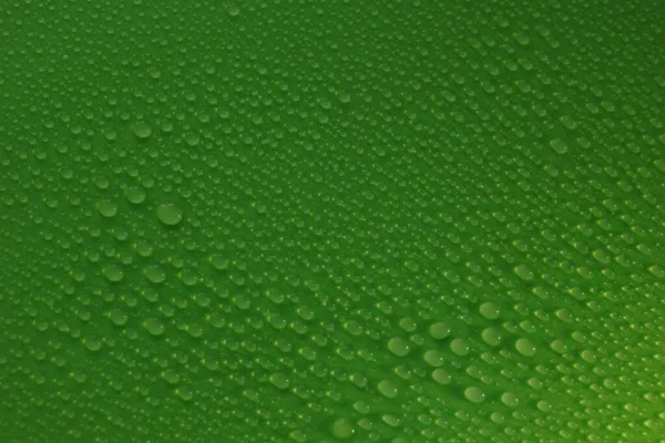 Gotas Água Ecologia Textura Fundo Verde Para Design — Fotografia de Stock